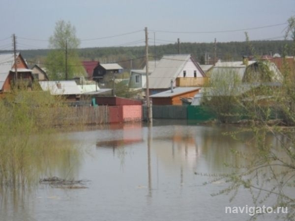 МЧС просит дачников покинуть садовые участки в пойме Оби из-за возможного подтопления