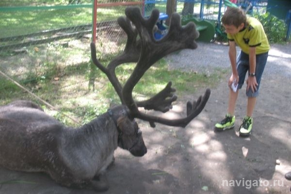 День России «У моря Обского»