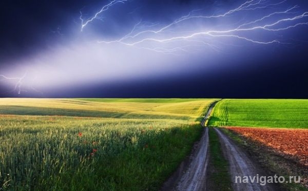 На смену жаре придут дожди и грозы