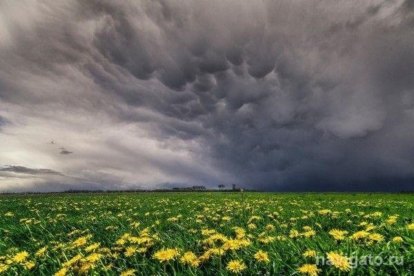 В ближайшие дни - жара и грозы