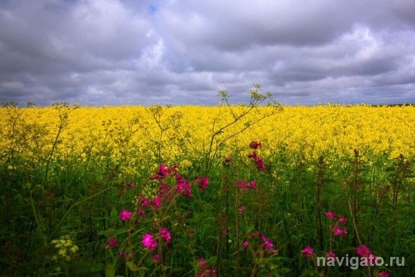 Жара берет эффектную паузу