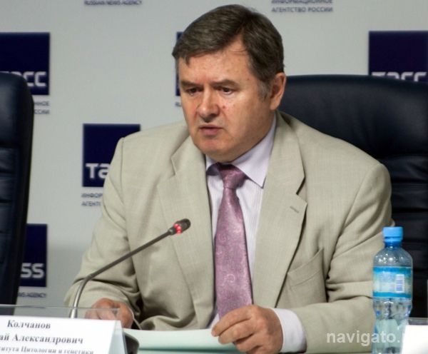 Ученые СО РАН предлагают меры против 