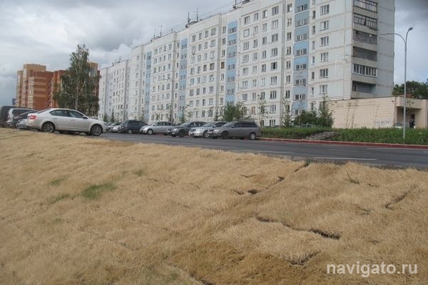 На «Сеятеле» устроили потемкинские газоны