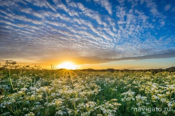 Неделя начнется с отличной погоды
