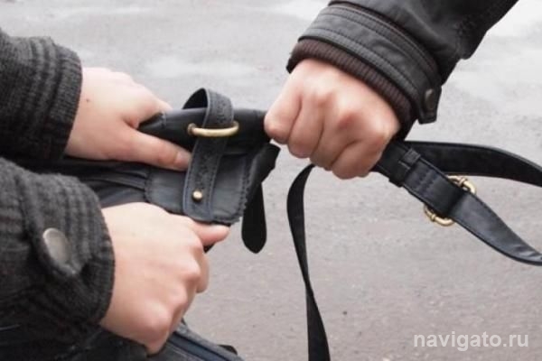 В Бердске раскрыты уличные грабежи
