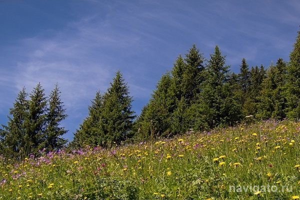 Жара возвращается