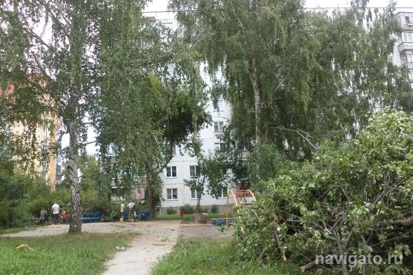 На Иванова рубят деревья