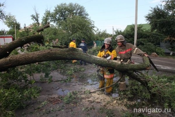 Дерево упало на дачниц в Советском районе