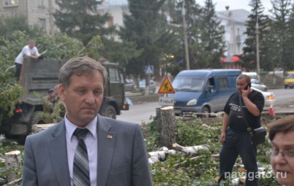 Березовую аллею спилили ради парковок 