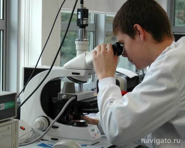 НСО получит 104 млн рублей на развитие кластера информационных и биофармацевтических технологий