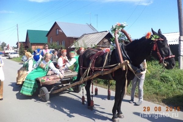 День соседей в Огурцово