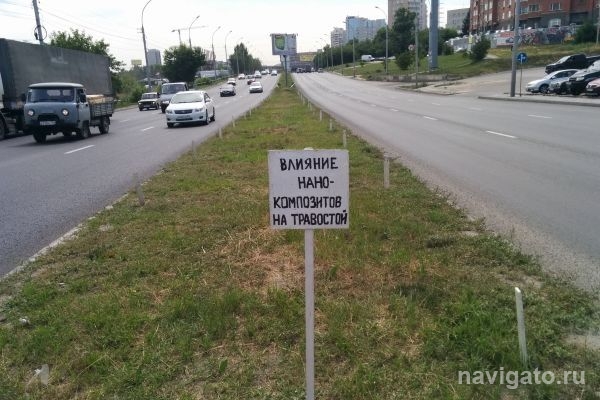В ИХТТМ СО РАН разработал удобрение для обочин