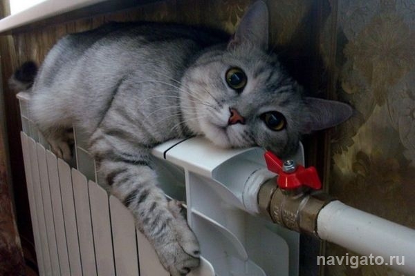 Сегодня начинается отопительный сезон