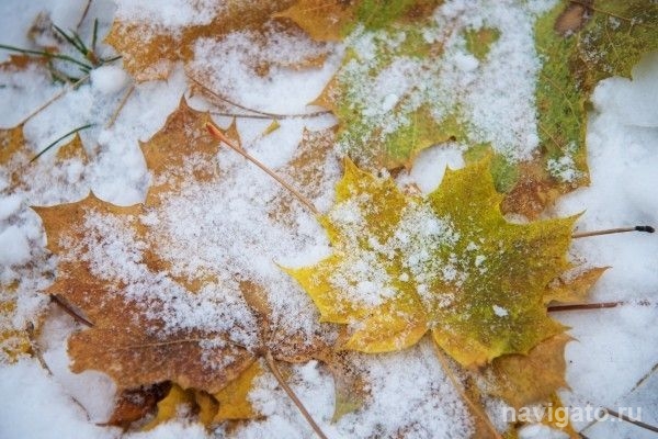 Погода 15–17 сентября: похолодание до нуля и дожди