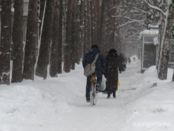 В ближайшие дни снег засыплет Новосибирск
