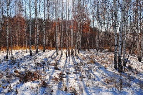 Ноябрь будет теплым и снежным