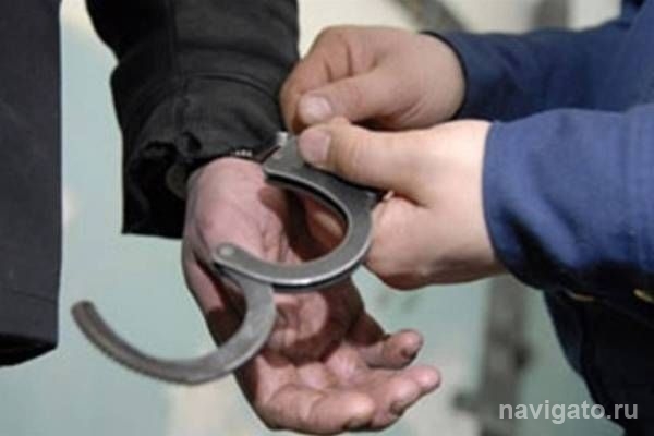 Полицейские раскрыли ограбление квартиры 67-летнего бердчанина