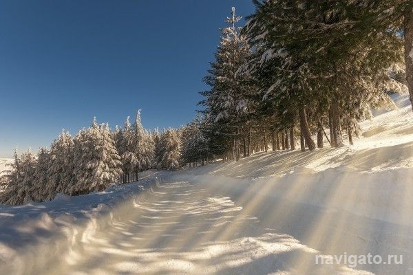 Морозы крепчали, крепчают и будут крепчать