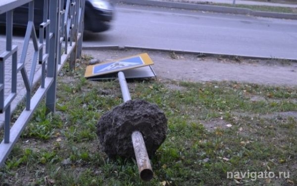 В травмах бердской школьницы никто не виноват