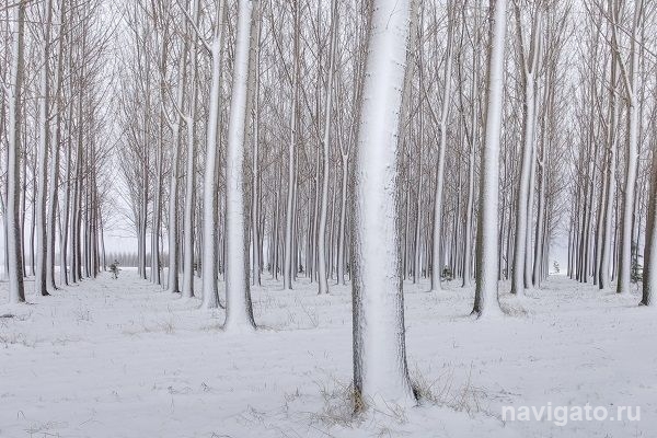 Снегопад сильный, но не рекордный