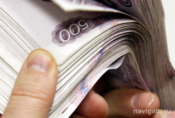 На бердского депутата завели уголовное дело