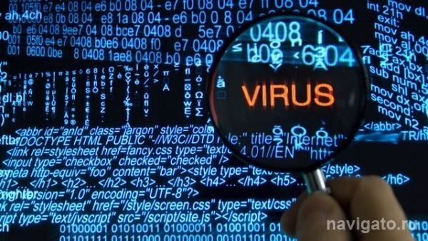 Вирус в письме об уголовном деле уничтожил документы мэрии Бердска