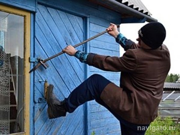 Раскрыта кража в садовом обществе Советского района