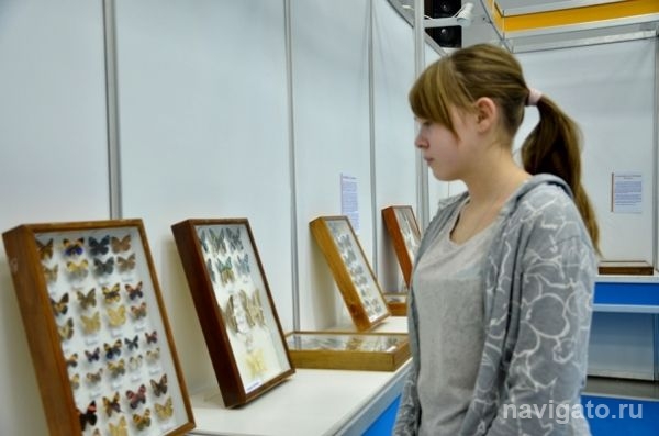 В Выставочном центре СО РАН открылась энтомологическая выставка