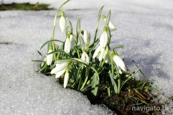 Первая декада декабря стала самой теплой за всю историю метеонаблюдений