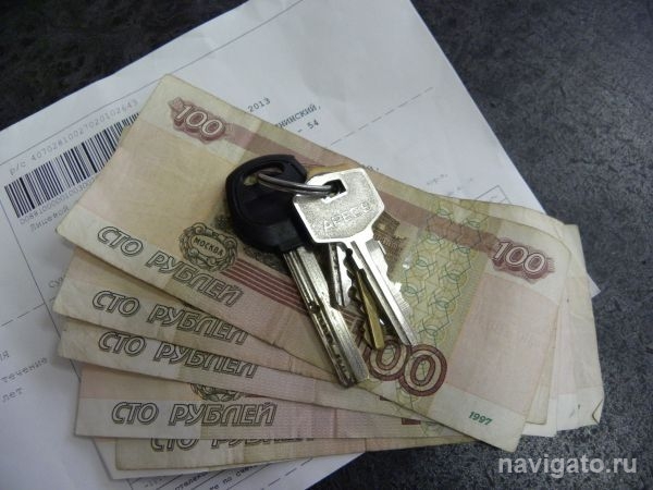 В НГУ исследовали 