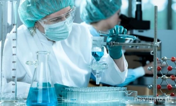 Новосибирские ученые создали лекарство на основе сильнейшего яда