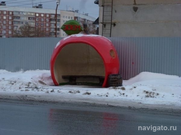 Сроки сдачи 