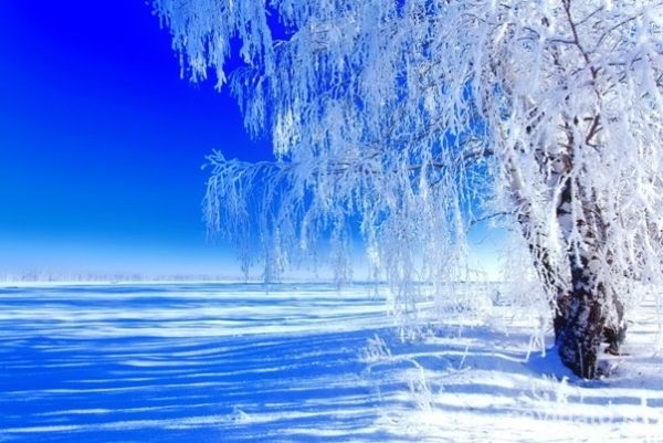После 8 марта потеплеет