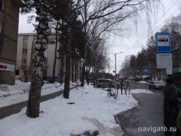 Обрезка деревьев на Морском прекращена