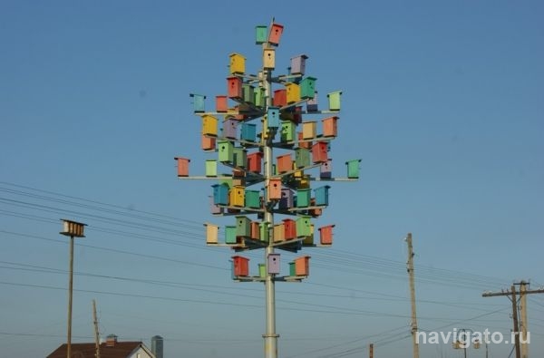 Завтра к нам вернутся тепло и скворцы
