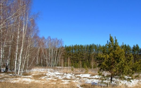 В выходные - теплый дождик