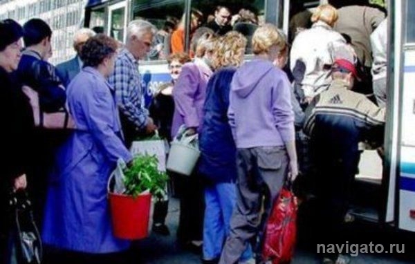 Бердские дачные автобусы запустят после устранения провалов