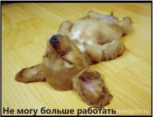 Скоро длинные выходные