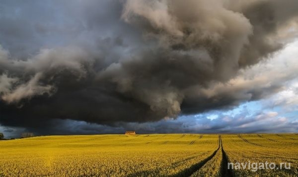 На выходных потепление до +27 градусов сменится резким похолоданием