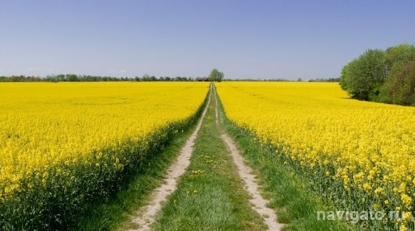 Лето наступило, тепло - задерживается