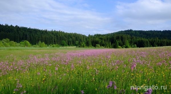 Выходные будут аномально жаркими
