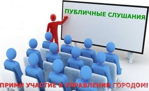 На публичные слушания 30 августа вынесено 20 вопросов