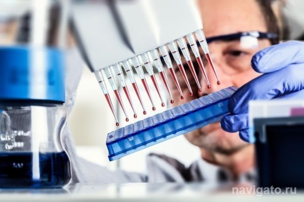 Сибирские ученые обнаружили фермент, мешающий бороться с раком