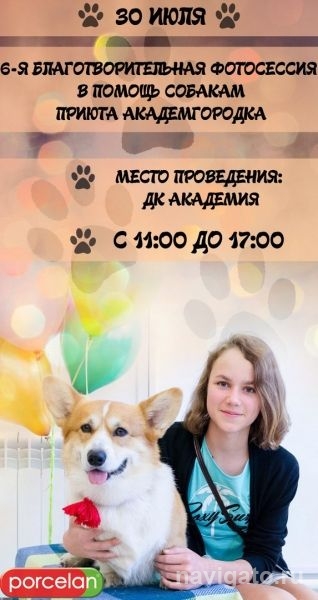 Фотосессия в помощь приюту Академгородка
