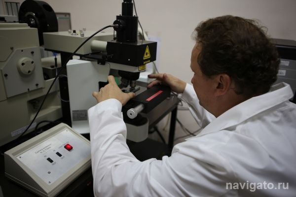 Новосибирские физики помогают биологам диагностировать рак