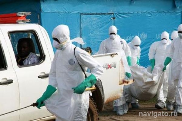 Новосибирские ученые застрахуют испытателей вакцины от Эболы