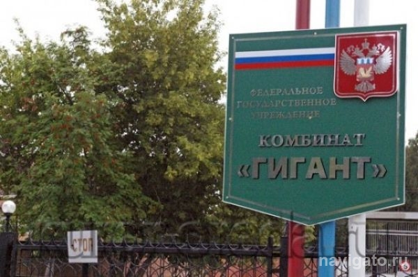 Амнистировали руководителей нефтехранилища Росрезерва в Бердске, осужденных за хищения 