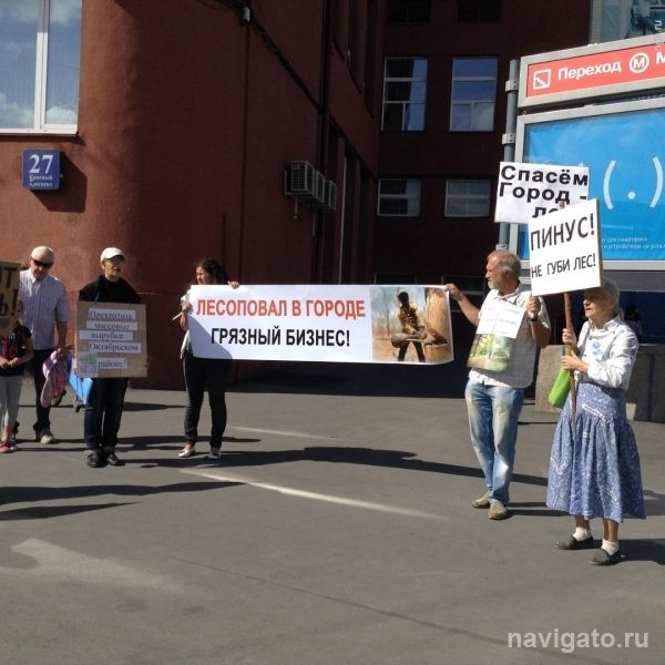 Общественники протестуют против гектаров вырубки в Академгородке