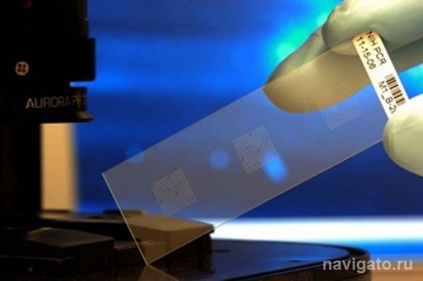 Новосибирские физики работают над суперфлешкой