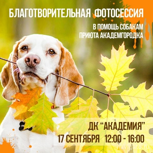 Осень. Фотографируйся с пользой!